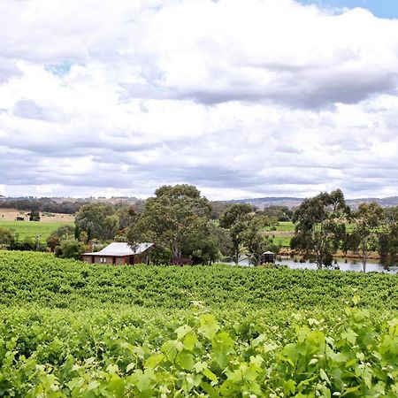 Stonewell Cottages And Vineyards タナンダ エクステリア 写真