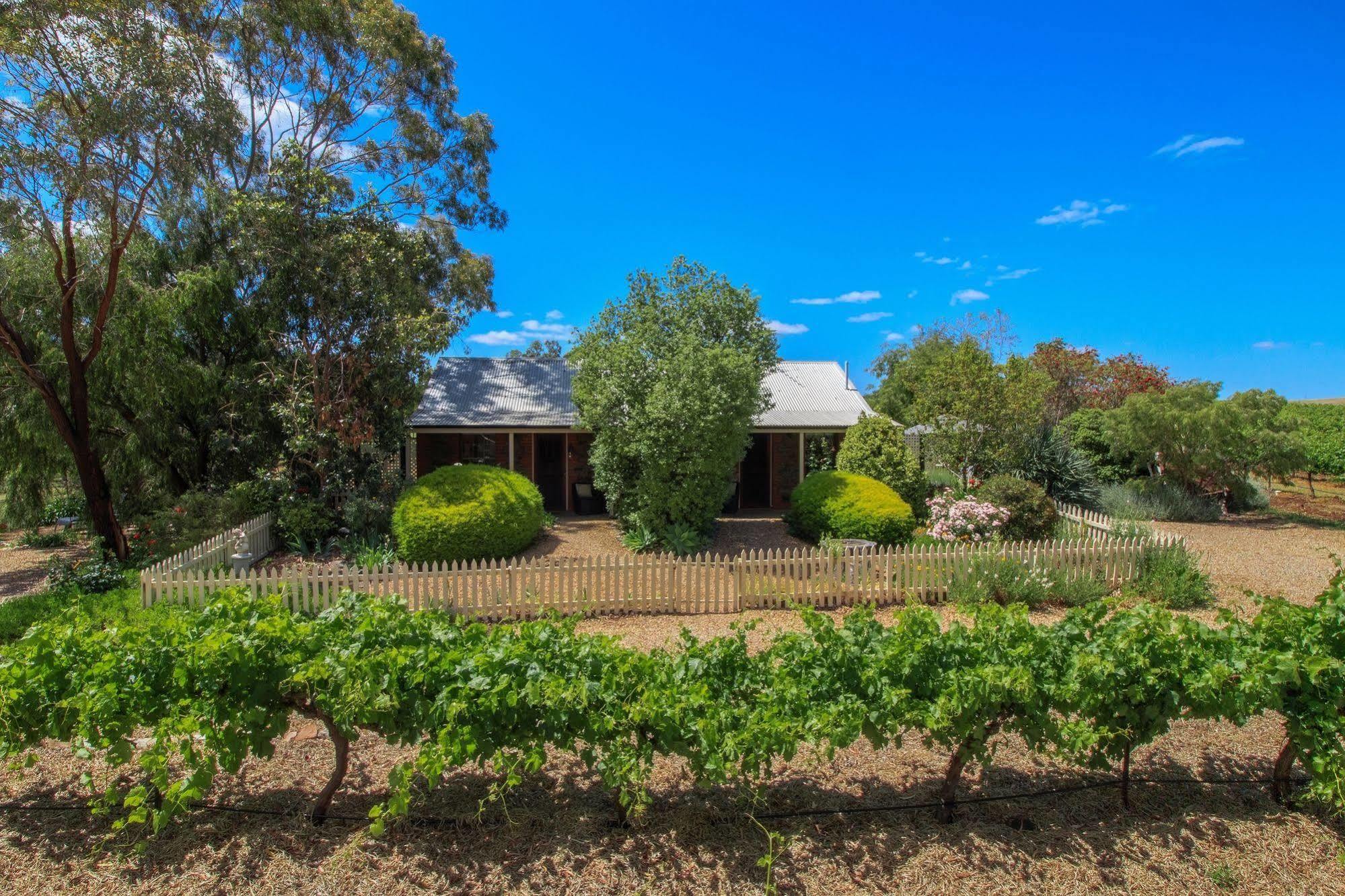 Stonewell Cottages And Vineyards タナンダ エクステリア 写真