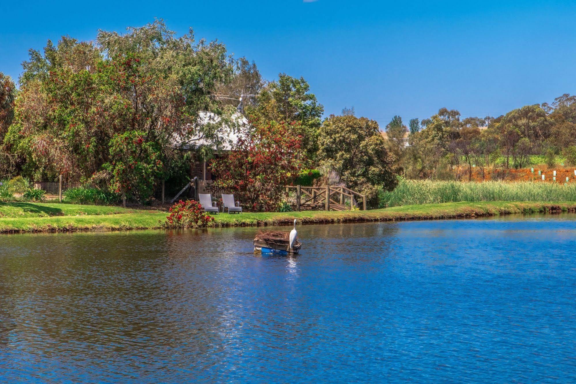 Stonewell Cottages And Vineyards タナンダ エクステリア 写真