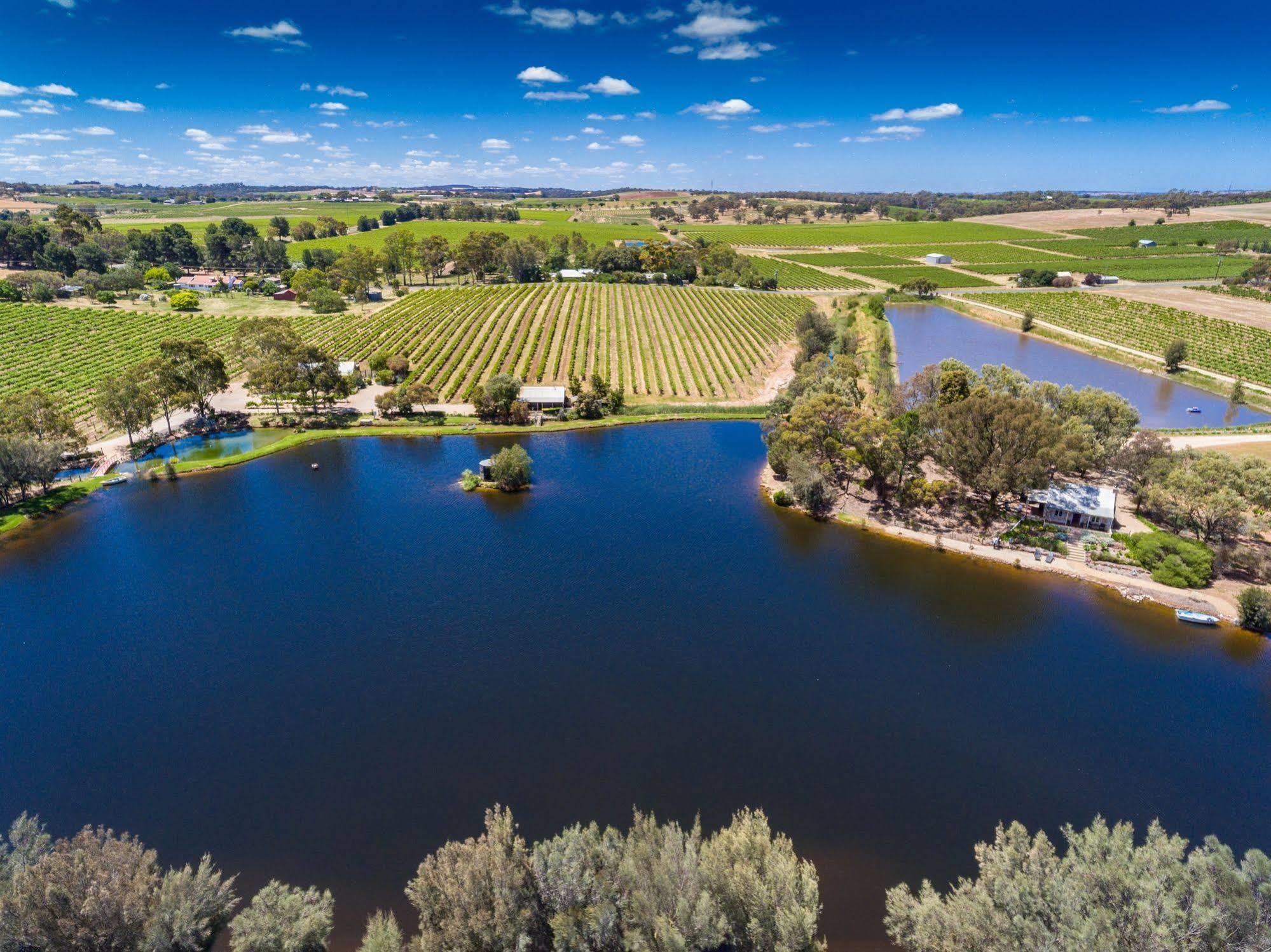 Stonewell Cottages And Vineyards タナンダ エクステリア 写真