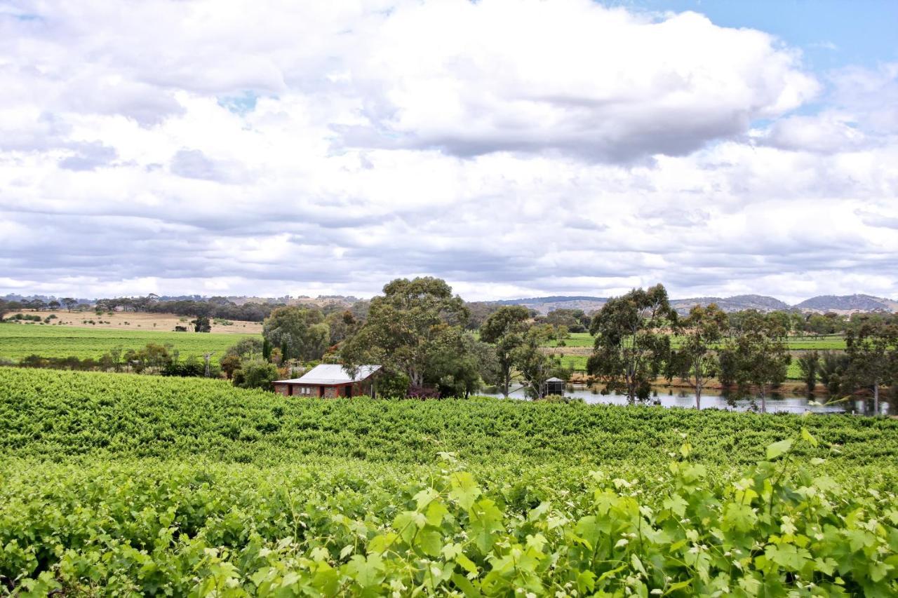 Stonewell Cottages And Vineyards タナンダ エクステリア 写真